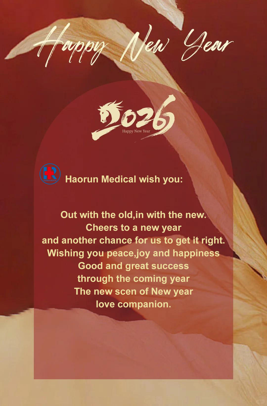 Haorun Medical ag Ceiliúradh na Nollag agus na hAthbhliana, Ag Breathnú ar Aghaidh le Comhar a Dhoimhniú i gCúram Sláinte Domhanda