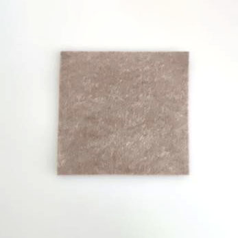 Cóiriú Ailgíneacha