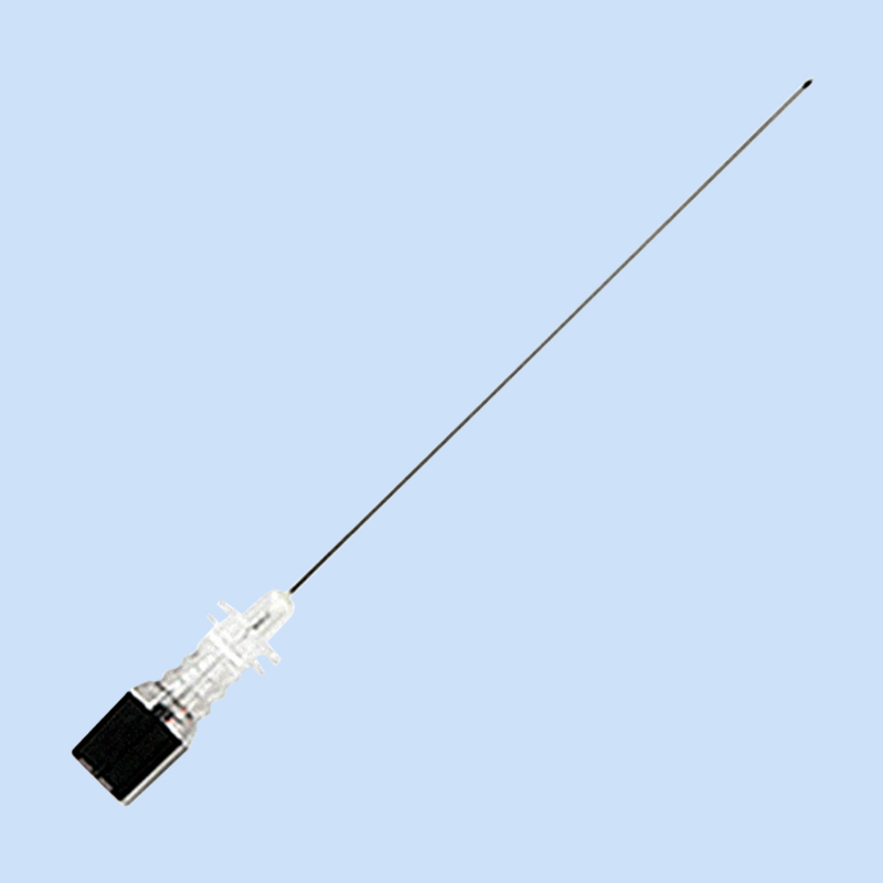 Snáthaid Dromlaigh